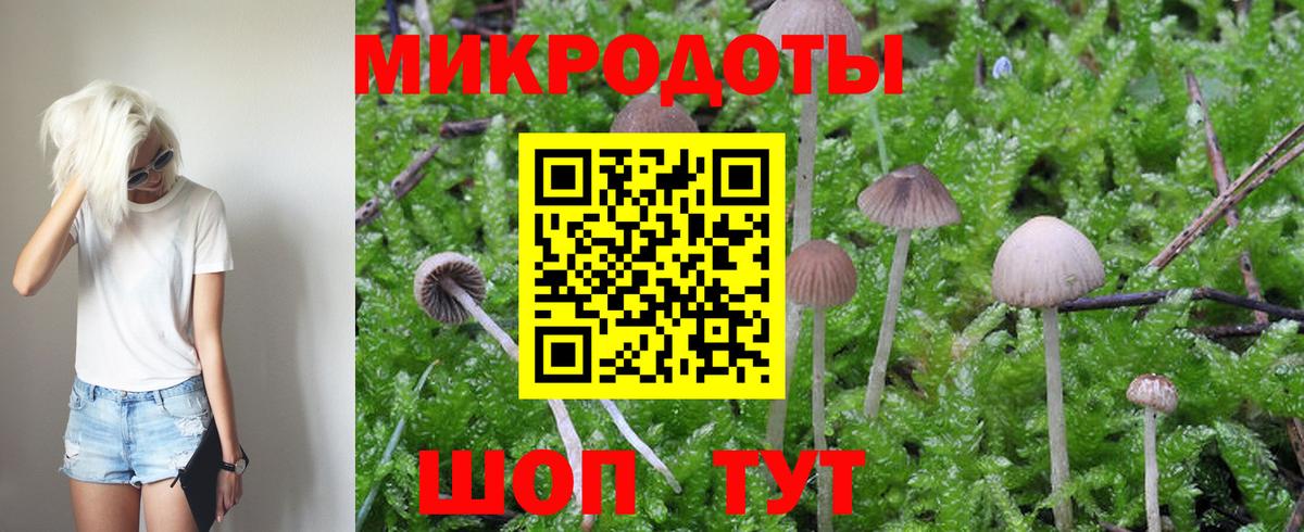 Галлюциногенные грибы Psilocybine cubensis  Вход с VPN  Торжок 