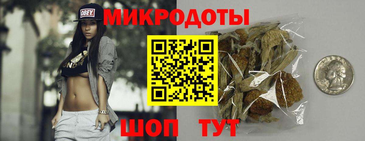 Псилоцибиновые грибы Psilocybine cubensis Торжок