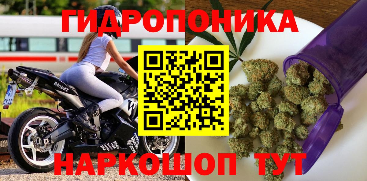 Каннабис сатива  Вход с VPN  Канабис THC 21%  Канабис индика  Торжок  Марихуана семена 
